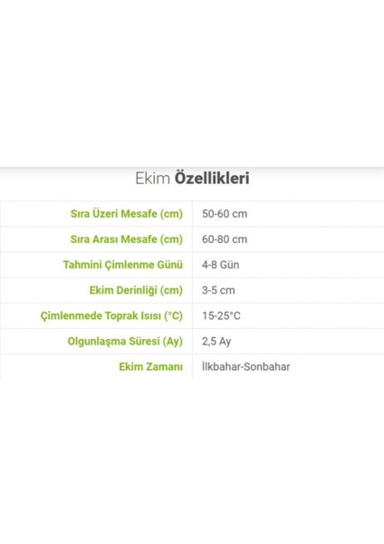 Tohumculuk Organik Bal Kabağı Tohumu 10 gr modelleri