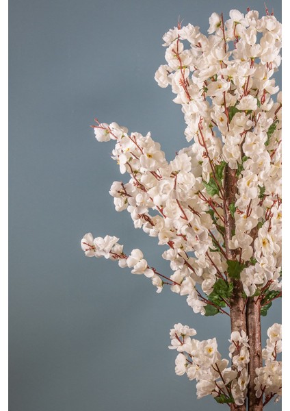 Beyaz Bahardalı 120 cm Saksılı Yapay Ağaç – Düğün ve Etkinlikler için Dekoratif, Dayanıklı Plastik Tasarım fırsatları