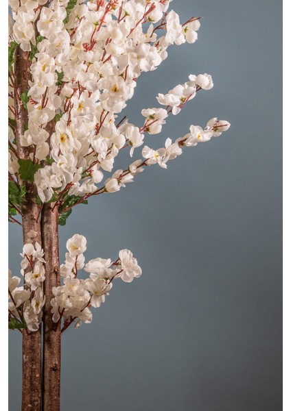 Beyaz Bahardalı 120 cm Saksılı Yapay Ağaç – Düğün ve Etkinlikler için Dekoratif, Dayanıklı Plastik Tasarım indirimleri