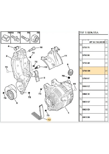 V Kayışı 307 407 Expert (6PK1217-5750.XN)