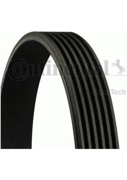 V Kayışı 307 407 Expert (6PK1217-5750.XN) fiyatları