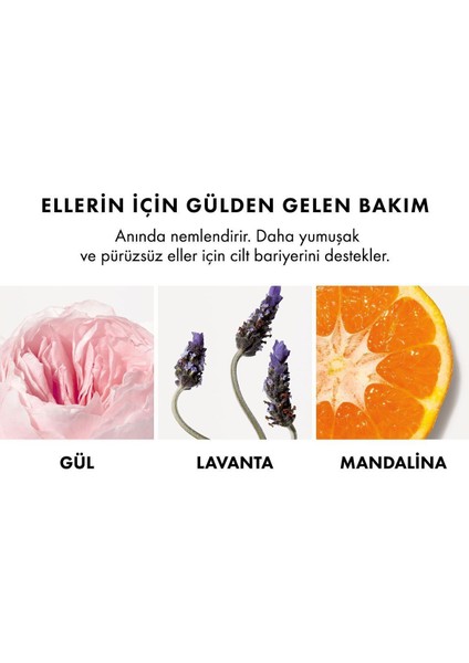 Light Rose Gül Iceren Nemlendirici El Kremi 75 ml