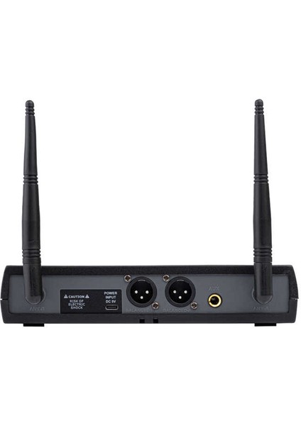 WM-202H 1 Receiver+2 Handheld Mikrofon