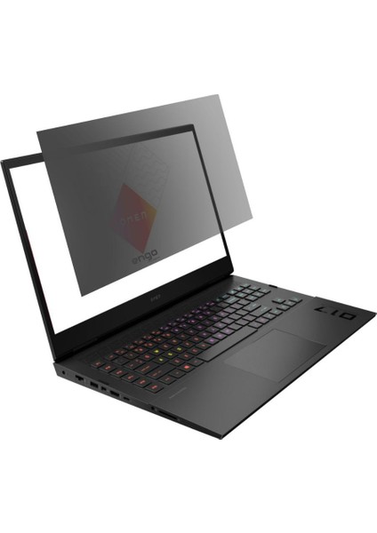 Hp Omen 17-CK2005NT 17.3 Inç Hayalet Ekran Koruyucu 16:9 Şeffaf