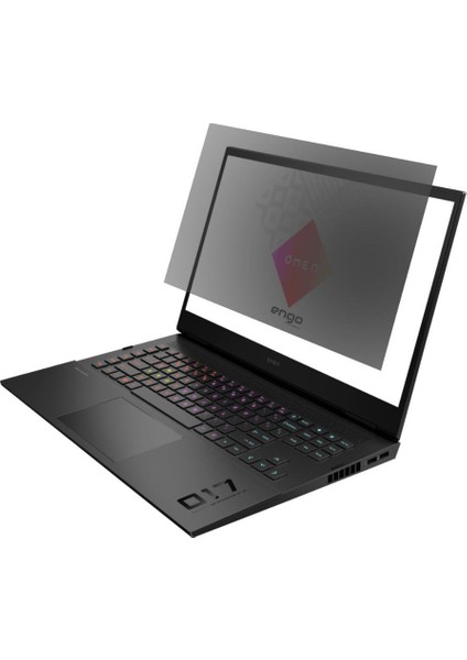 Hp Omen 17-CK2005NT 17.3 Inç Hayalet Ekran Koruyucu 16:9 Şeffaf