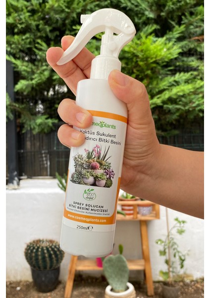 Kaktüs Sukulent Bitki Besini 250 ml Sprey Sıvı Solucan Besini modelleri