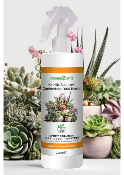 Kaktüs Sukulent Bitki Besini 250 ml Sprey Sıvı Solucan Besini fırsatları