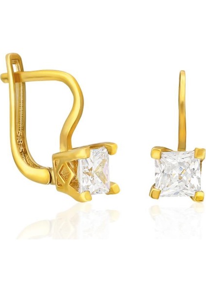 Parıldayan Tek Taş Küpeler