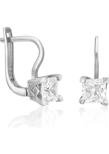 Parıldayan Tek Taş Küpeler fiyatları