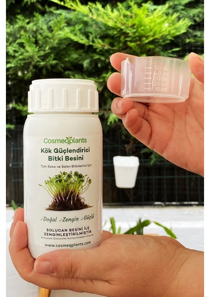 2'li Set - Kök Güçlendirici 250 ml + Kaktüs Coşturan 250 ml fiyatları