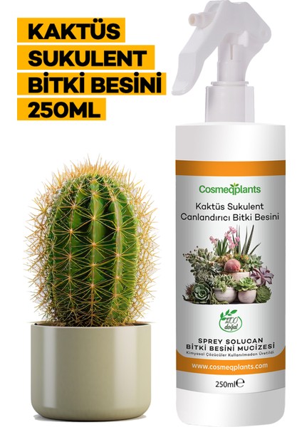 2'li Set - Kök Güçlendirici 250 ml + Kaktüs Coşturan 250 ml fırsatları