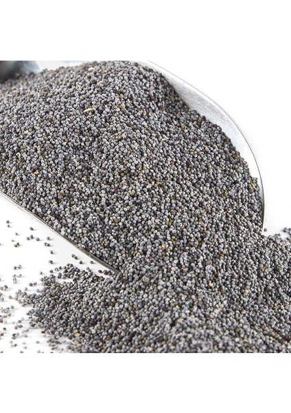 Haşhaş Mavi 500 gr