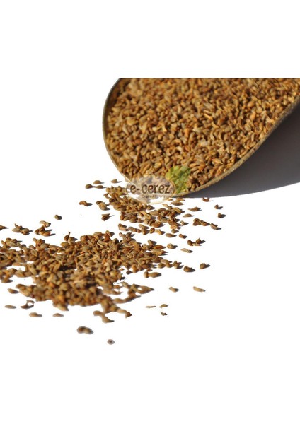 Maydanoz Tohumu 100 Gr