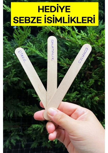 Tüm Sebzeler İçin Sıvı Bitki Besini modelleri