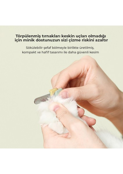 Kedi Tırnak Makası, Lazer Işını ile Tırnak İçi Damarlarını Görme, UV Işını İle Bakterileri Görme