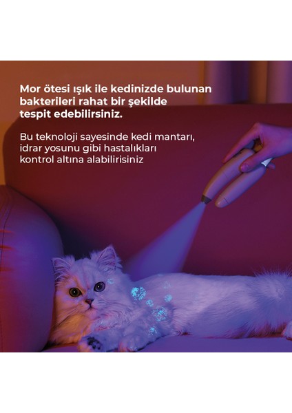 Kedi Tırnak Makası, Lazer Işını ile Tırnak İçi Damarlarını Görme, UV Işını İle Bakterileri Görme