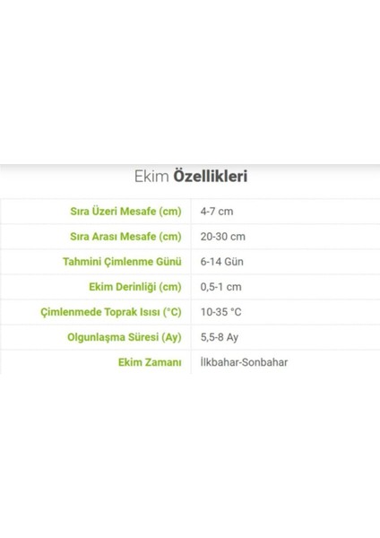 MF Botanik Tohumculuk Beyaz Soğan Tohumu 5 gr Ata Tohum