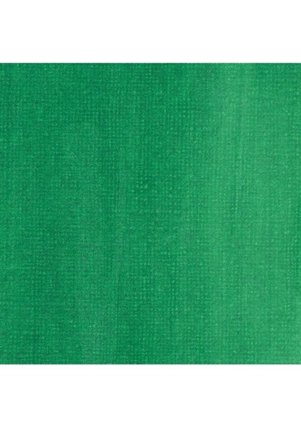 Professional Akrilik Mürekkep 30 ml Phthalocyanine Green Blue Shade 317 fiyatları