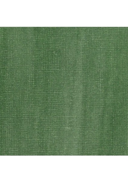 Professional Akrilik Mürekkep 30 ml Muted Green 501