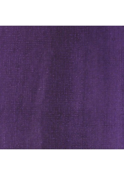 Professional Akrilik Mürekkep 30 ml Dioxazine Purple 186