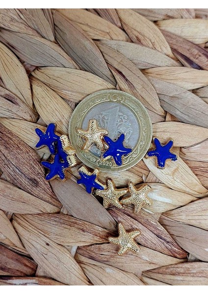 Altın Kaplama Lacivert Yıldız Ara Aparat/2 Adet (51872) fiyatları