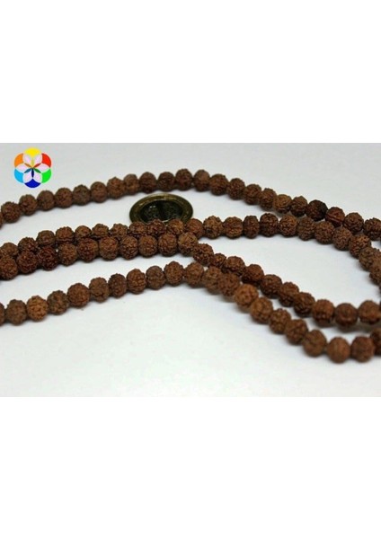 Çeyrek Dizi (9cm Uzunluğundadır!) Rudrashka Tohum Çeyrek Dizi 8mm