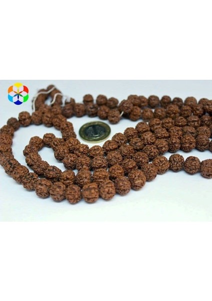 Çeyrek Dizi (9cm Uzunluğundadır!) Rudrashka Tohum Çeyrek Dizi 8mm modelleri