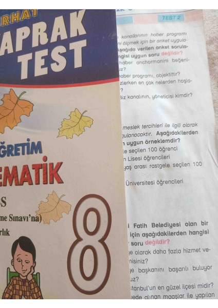 8 Yaprak Test.matematık