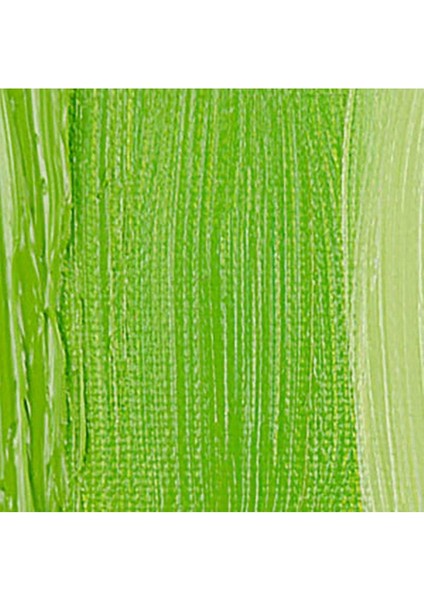 Yağlı Boya 40 ml Permanent Yellow Green 633 S.3