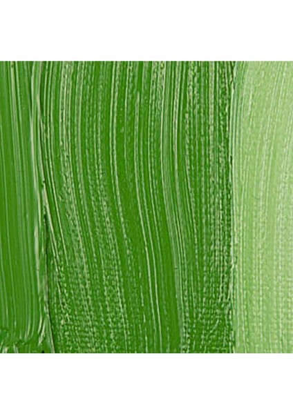 Yağlı Boya 40 ml Cinnabar Green Medium 625 S.2 fiyatları
