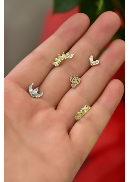 Çelik Üç Renk 5'li Kombinli Tragus Küpe MODEL19-2