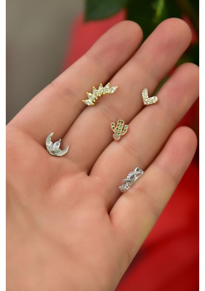 Çelik Üç Renk 5'li Kombinli Tragus Küpe MODEL19