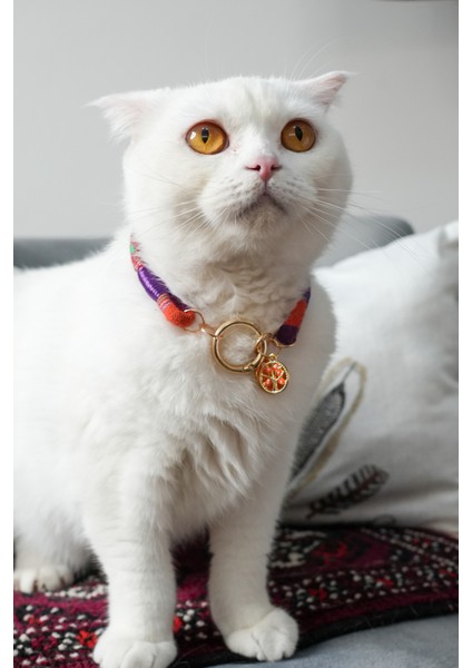 Charmlı Kedi Köpek Tasması Kolyesi - El Yapımı Petdora - Kararmaz Çelik - Salyangoz Charm