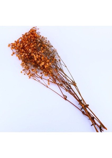 Kuru Çiçek Doğal Kurutulmuş Çiçek Doğal Cipso 40 cm 20 gr Turuncu fiyatları