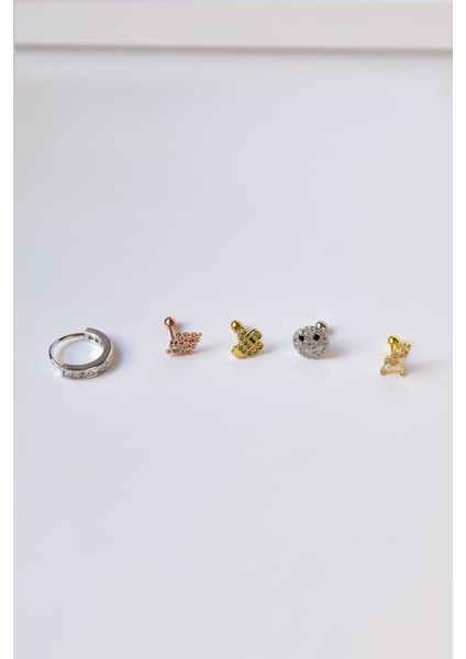 Çelik Gold-Rodyum Kaplama Çelik Tragus 5'li Küpe Kombin2 fiyatları