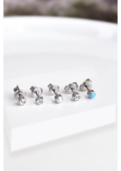 Çelik Rodyum Kaplama Cerrahi Tektaş Çivili 5'li Kombin Küpe Model4