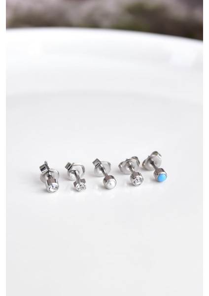 Çelik Rodyum Kaplama Cerrahi Tektaş Çivili 5'li Kombin Küpe Model4 fiyatları