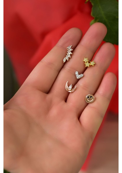 Çelik Üç Renkli 5'li Kombinli Tragus Küpe Model2 fiyatları