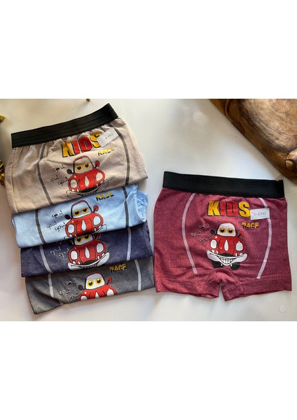 5 Adet Renkli Baskılı Erkek Çocuk Boxer