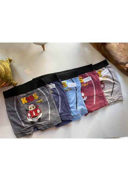 5 Adet Renkli Baskılı Erkek Çocuk Boxer