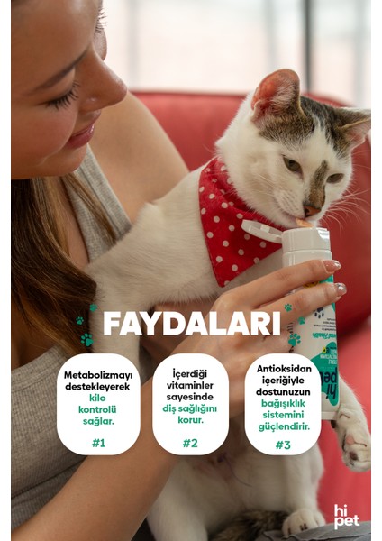 Mutlivitamin Kedi Maltı