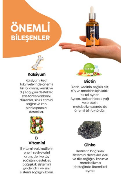 Kediler İçin Vitamin B