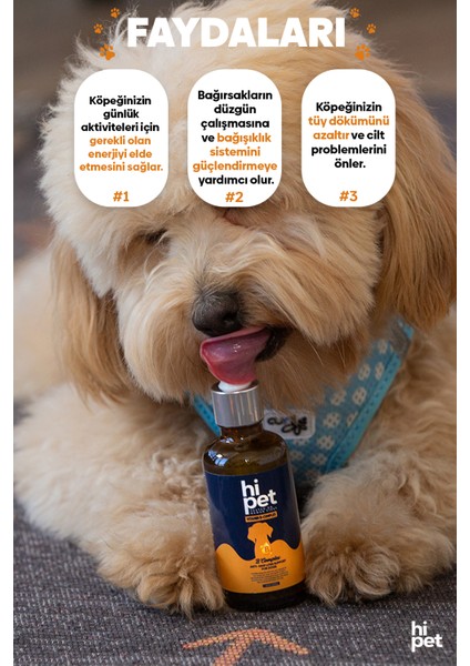 Köpekler Için Vitamin B