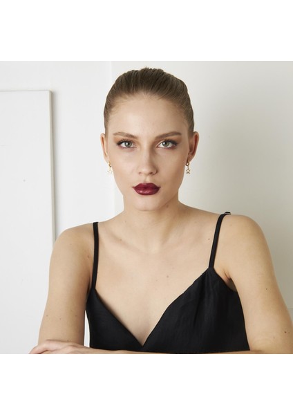 Parlayan Yıldız Küpeleri fırsatları