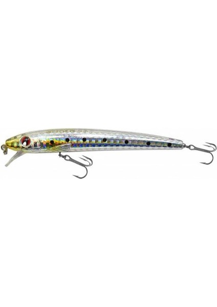 Minnow HG2565 11CM 13GR Maket Balık