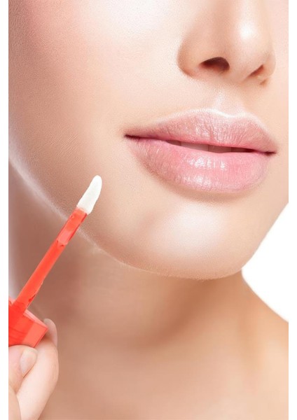 Meyve Aromalı Renkli 6'lı Dudak Yağı fırsatları