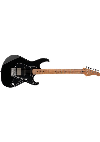 Elektro Gitar, Siyah