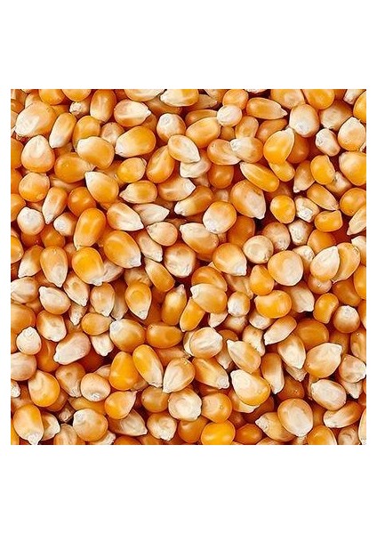 Popcorn 250 gr