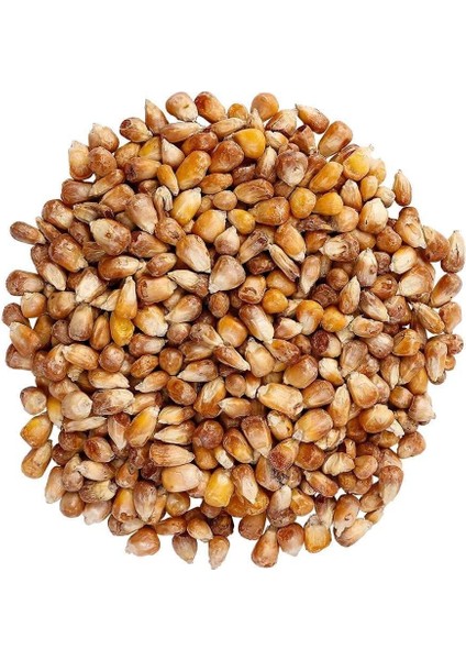 Kavurga Mısır 500 gr