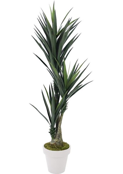 Yapay Sisal Ağacı 170 cm